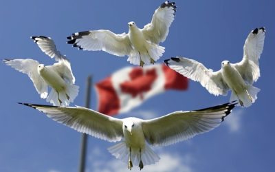 Canada increases 2018 Atlantic Immigration Pilot allotment Increase